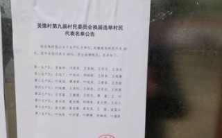 村级评选公示模板怎么写