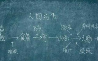 教学版书模板样式,教材制作模板 