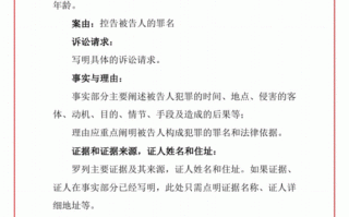 刑事自述状模板（刑事案件自述）