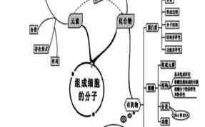  高中生物万能导入模板「高中生物 导入」