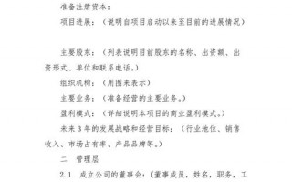  企业投资策划方案模板「企业投资策划书模板」