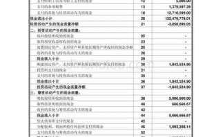 2015年现金流量表模板的简单介绍