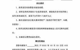 起诉第三者起诉状 第三者离婚起诉书模板