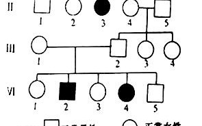  人类遗传办模板「人类遗传图谱」