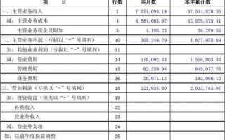 医院年度损益表模板_民营医院损益表