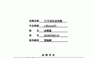 it行业社会实践一报告模板_软件公司社会实践报告