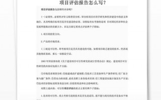 评估报告技术方案怎么写