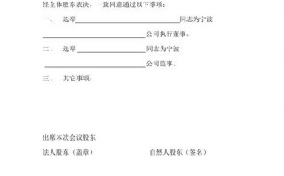 股东决议模板_公司股东决议模板