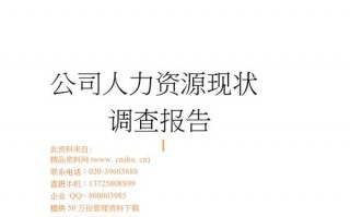  人力资源调查报告模板「人力资源调查报告模板」