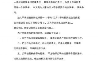 无效协议模板_无效协议产生的法律责任由谁承担