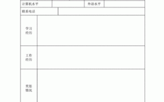 简历模板执着（简历模板精美）