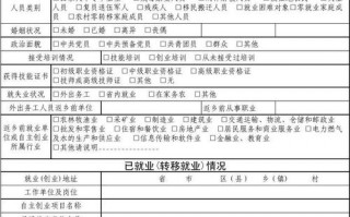  劳动力信息系统模板「劳动力信息调查表」