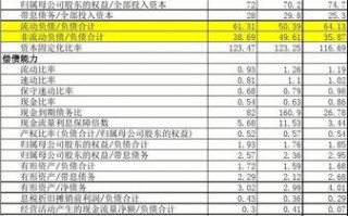 债务能力分析模板怎么写-债务能力分析模板