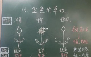  三年级语文板书设计模板「小学三年级语文板书设计」