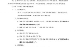  商检资料整改报告模板「商检情况说明」