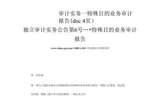 特殊目的的审计名词解释 特殊目的审计报告模板