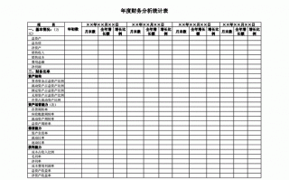 年终账务分析模板_年终财务账本包含哪些