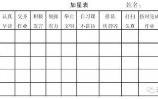 班级规律执行方案模板（班级规则表格）