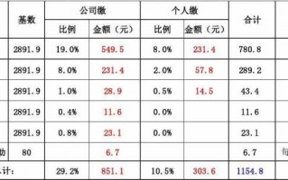 2017社保扣款明细模板_2020社保明细扣费