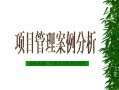  项目管理案例ppt模板「项目管理案例分析题及答案」