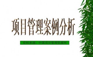  项目管理案例ppt模板「项目管理案例分析题及答案」