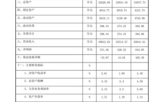 公司近年财务情况模板（最近一年财务状况怎么写）