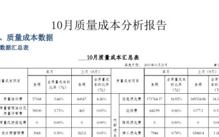 成本改善报告