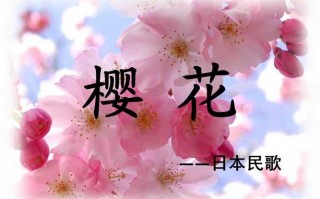 樱花音乐课件免费模板,樱花音乐ppt 