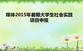  暑期实践活动申报ppt模板「暑期社会实践活动申报书」