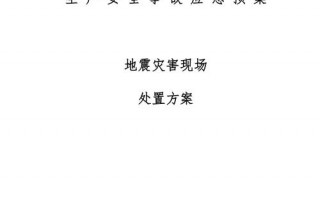 地震处置情况报告 地震现场处置方案模板