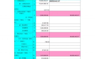 股份利润分配表模板,股份公司利润分配方案 