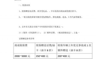 新车保险策划模板_新车保险方案