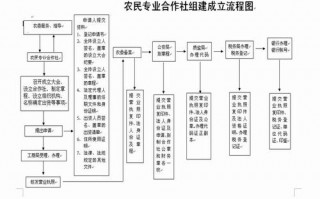 村委会合作社流程图-村委会委托合作社模板