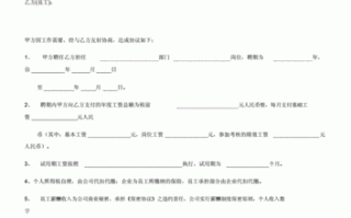 工资工作收入合同模板_工资工作收入合同模板图片