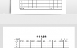  推销日志模板「销售日志模板」