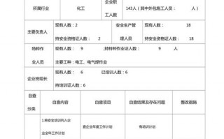 安全培训自检报告模板,安全培训自查总结报告 