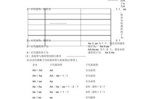 高中生物作业布置-高中生物作业设计模板