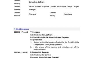英文工程师简历模板,项目工程师英文简历 
