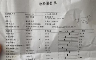 宠物狗绝育证明-宠物绝育证明模板