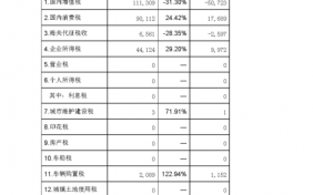 国地税统计表模板,国家税务统计 