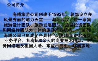  旅游公司公司简介模板「旅游公司简介文案」