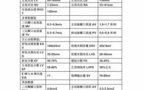 心脏超声检查正常报告模板