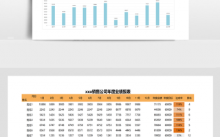 新年业绩报告模板_2020业绩报告业绩