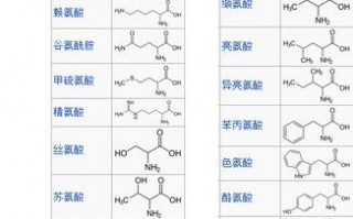 dna碱基序列种类-模板DNA的碱基序列是3