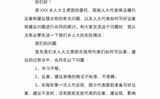 区人大代表怎样写议案