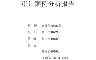 审计报告实例 审计报告分析模板下载