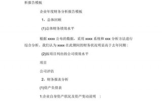 年终财务分析报告怎么写-财务报告年终分析模板