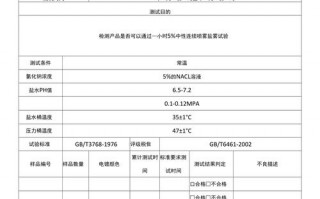 word报告模板_word版报告