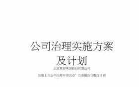 公司治理方案doc