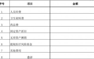  医院年度预算分析模板「医院预算工作计划」